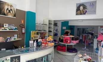 Imagem 4: Ótimo ponto comercial e residencial