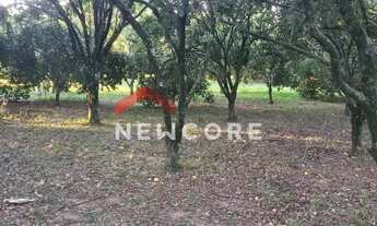 Imagem 6: Sítio em Sitio - Centro - Capela de Santana/RS