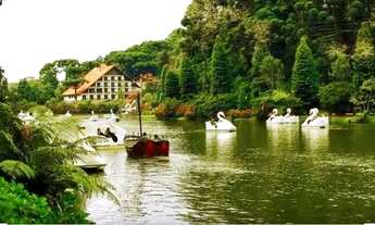 Imagem 2: Imóvel para venda com 58 metros quadrados com 1 quarto em Planalto - Gramado - RS