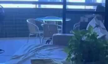 Imagem 5: Setubal/Boa Viagem, 4 Qts, 2 Suites, Closet, Dependencia, 146m², Reformado, Varanda, Alto