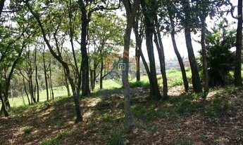 Imagem 5: Área Industrial em Parque Nova Xampirra - Itatiba, SP