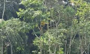 Imagem 4: Casa para Venda em Teresópolis, Carlos Guinle, 7 dormitórios, 3 suítes, 7 banheiros, 10 va