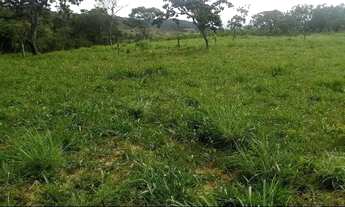 Imagem 3: Vende-se terreno na comunidade santa Rita rural