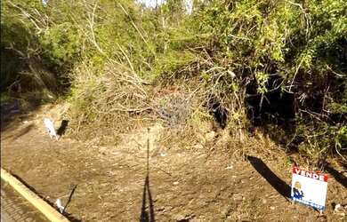 Imagem 7: TERRENO LOTE 03 CENTRO