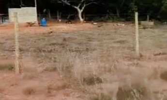 Imagem 2: Sítio em Buritis Minas Gerais