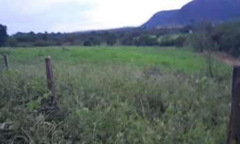 Imagem 3: Sitio pequeno a venda na estrada da produção