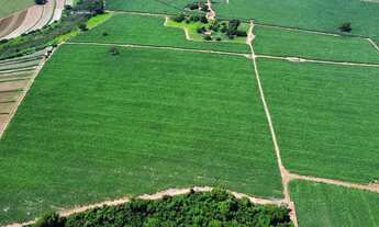 Imagem: Vende-se sítio município de Indiaporã