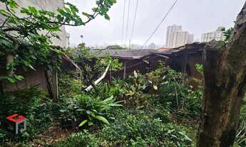 Imagem 7: Terreno à venda Valparaíso - Santo André - SP