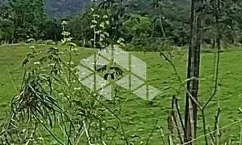 Imagem 4: Terra no interior de Monte Belo do Sul