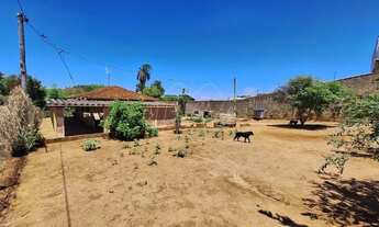 Imagem 7: Venda de Rural / Chácara na cidade de Araraquara