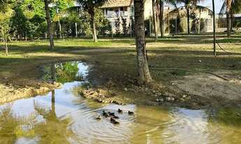 Imagem 3: Sítio Chácara com venda por R$899.000