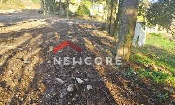 Imagem 6: Lote em Avenida Padre Raul Accorsi - De Lazzer - Caxias do Sul/RS