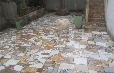 Imagem 3: Pacheco Casa com 2 dormitórios