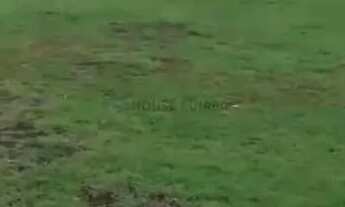 Imagem 4: Sitio com 40 hectares na região da forquilha do manso, 132 km da capital Cuiabá