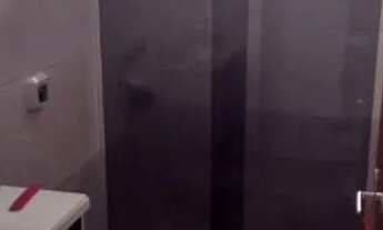 Imagem 4: Vende-se Casa com 2 dormitórios