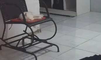 Imagem 2: Casa Casa com 2 dormitórios