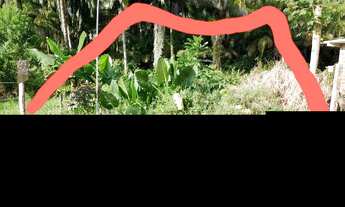 Imagem 5: Lote/ terreno / Taperoa bahia