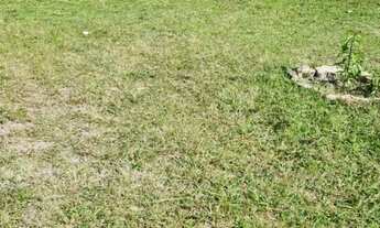 Imagem 7: Sítio Casa com 1 dormitório