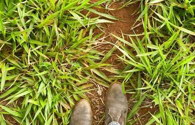 Imagem 5: Chácara entre Goiânia e Nerópolis