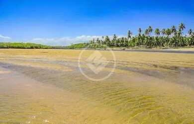 Imagem 5: VENDO TERRENO PÉ NA AREIA (1.586m²) na Linha Verde