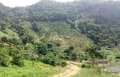 Imagem 5: Sítio com nascente em Guaçuí, produzindo ao lado da cidade