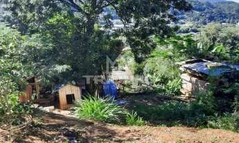 Imagem 4: ótimo Terreno em Três Coroas. te