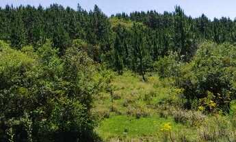 Imagem 4: 51 hectares de campo sem benfeitorias