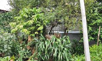 Imagem 3: Casa para Venda em São Paulo, Vila Curuçá, 2 dormitórios, 2 banheiros, 4 vagas