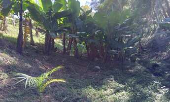 Imagem 7: 2 Km D Pedro Sítio 22000 m²- 3 Dormitórios Muita Água -com Escritura-3 km da D Pedro