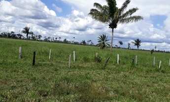 Imagem 5: Fazenda 170 alqueires Região de Candeias do Jamari
