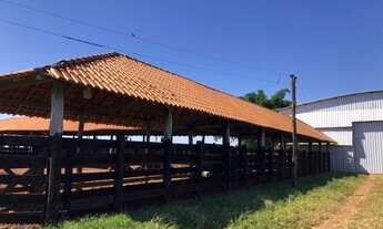 Imagem 5: Fazenda 1350 alqueires Região de Parecis