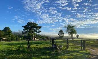 Imagem 3: Fazenda 210 alqueires Machadinho D' Oeste
