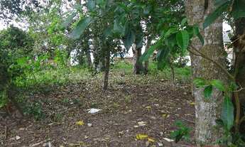 Imagem 7: Florianópolis - Terreno Padrão - Cachoeira do Bom Jesus