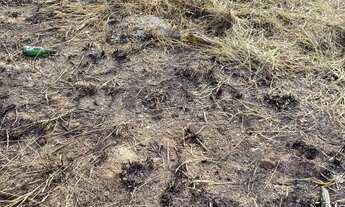 Imagem 5: Terreno à venda no Residencial Santo Antônio em Franco da Rocha