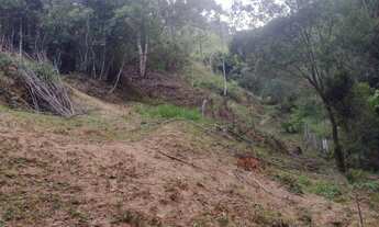 Imagem 6: Chácara de 20.307 m² no centro de Delfim Moreira- Sul de Minas Gerais