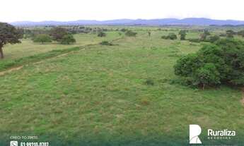 Imagem 7: Fazenda com aptidão para pecuária na região de Itaporã do Tocantins - TO