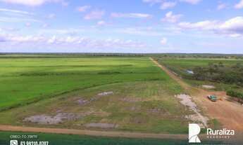 Imagem 10: Fazenda de projeto irrigado por controle de lençol freático na Lagoa da Confunsão - TO
