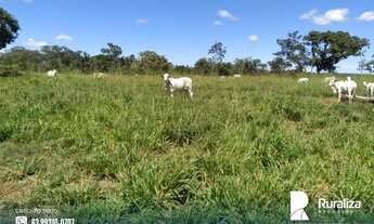 Imagem 2: Fazenda com dupla aptidão e 2.812,04 hectares na região de Itacajá - TO