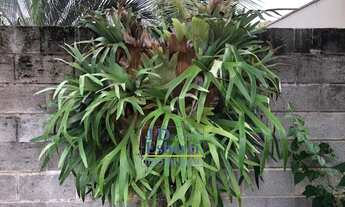 Imagem 6: Casa de condomínio no Palm Park em Holambra