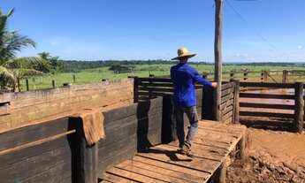 Imagem 6: Fazenda 1350 alqueires Região de Parecis