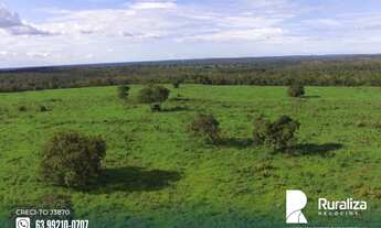 Imagem 2: Fazenda com dupla aptidão na região do Vale do Araguaia-TO