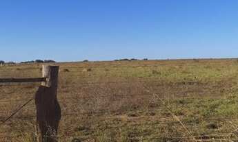 Imagem 7: ÓTIMA FAZENDA EM BALSAS