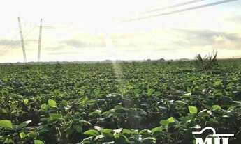 Imagem 7: Fazenda Agrícola em Riachão - MA. > 4.808 Há