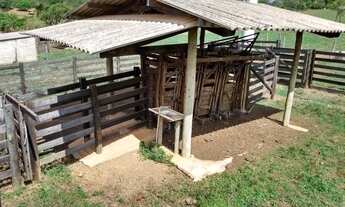 Imagem 4: Chácara de 09 alqueires em Goianápolis-Go