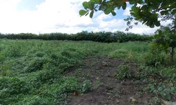 Imagem 2: Vendo terreno Plano, no Km 12 de Aldeia, excelente para empreendimentos