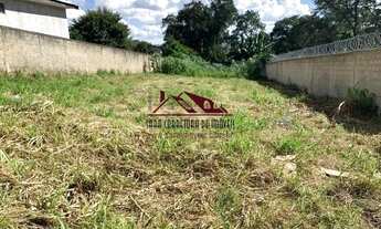 Imagem 4: Excelente Terreno Plano e todo murado! Ótimo para Industria