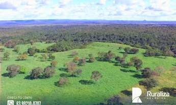 Imagem 5: Fazenda com dupla aptidão na região de Paraíso do Tocantins - TO