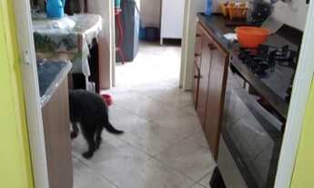 Imagem 7: Apto Cohab 1 Grande - Oportunidade 2º andar