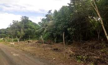 Imagem 6: Terreno para Venda em Camaçari, Centro