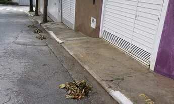 Imagem 2: Casa para venda com 100 metros quadrados com 2 quartos em Jardim Helga - São Paulo - SP